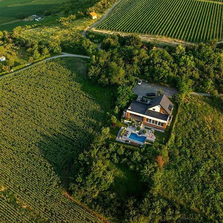 Riverside Pool Villa-Сремски Карловци Екстериор снимка