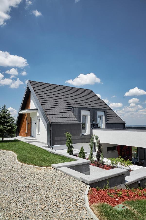 Riverside Pool Villa-Сремски Карловци Екстериор снимка